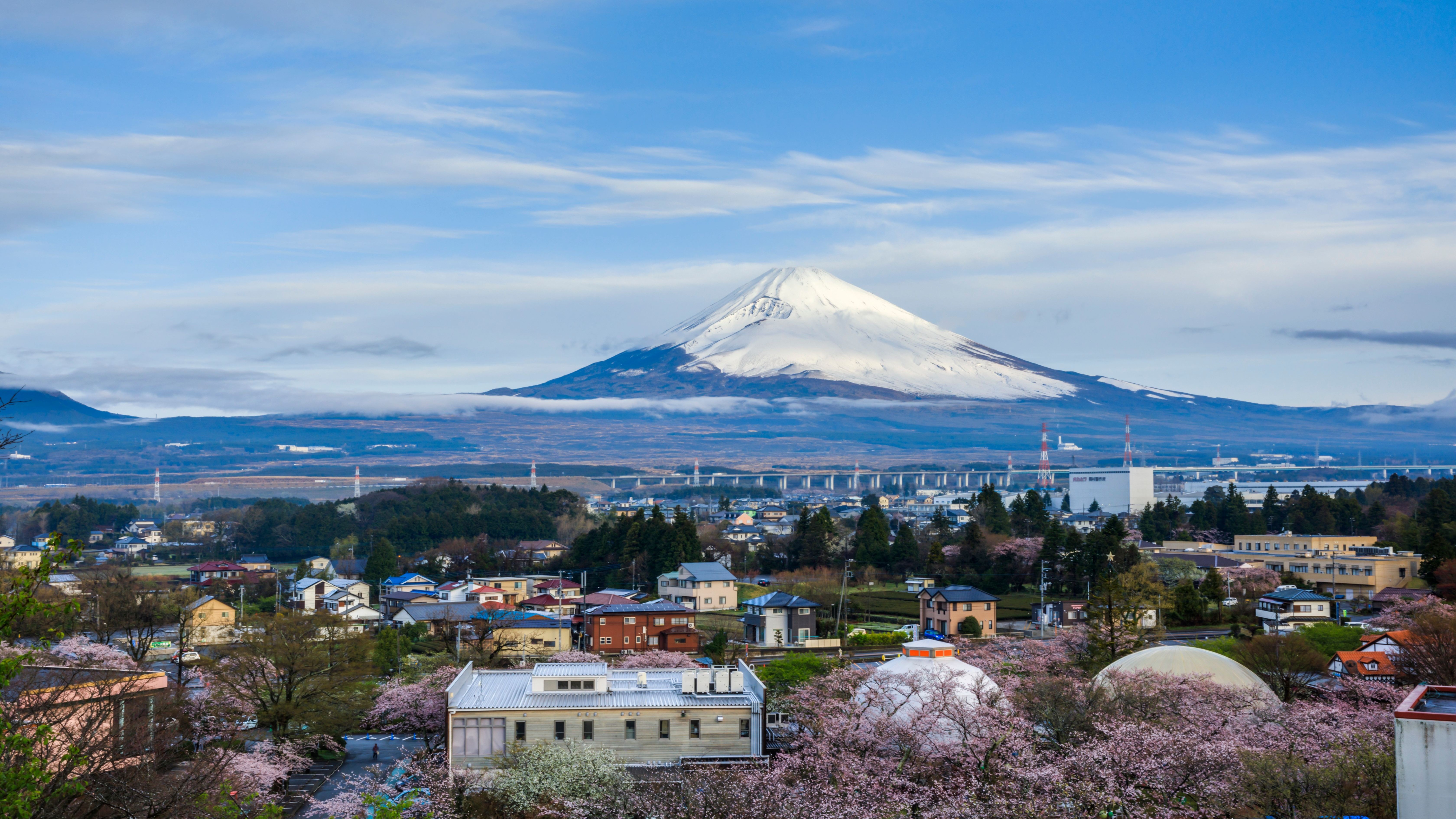 時之栖内からご覧いただける様々な富士山（一例です）