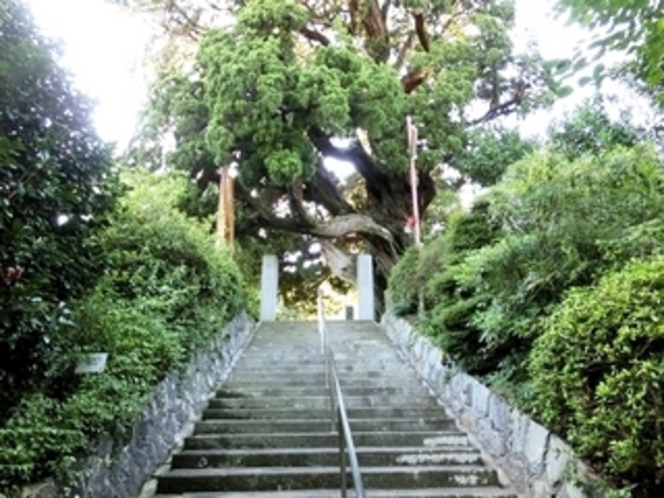 城願寺　階段