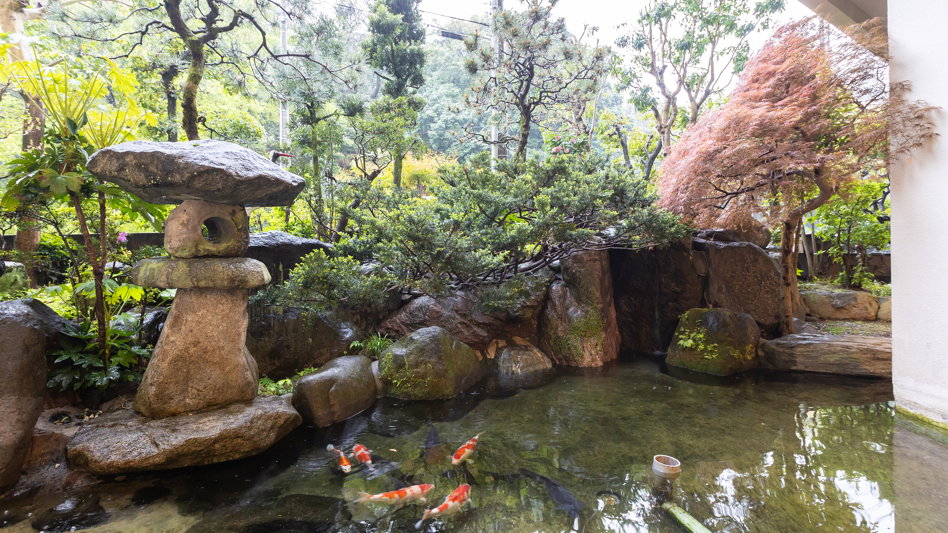 庭園
