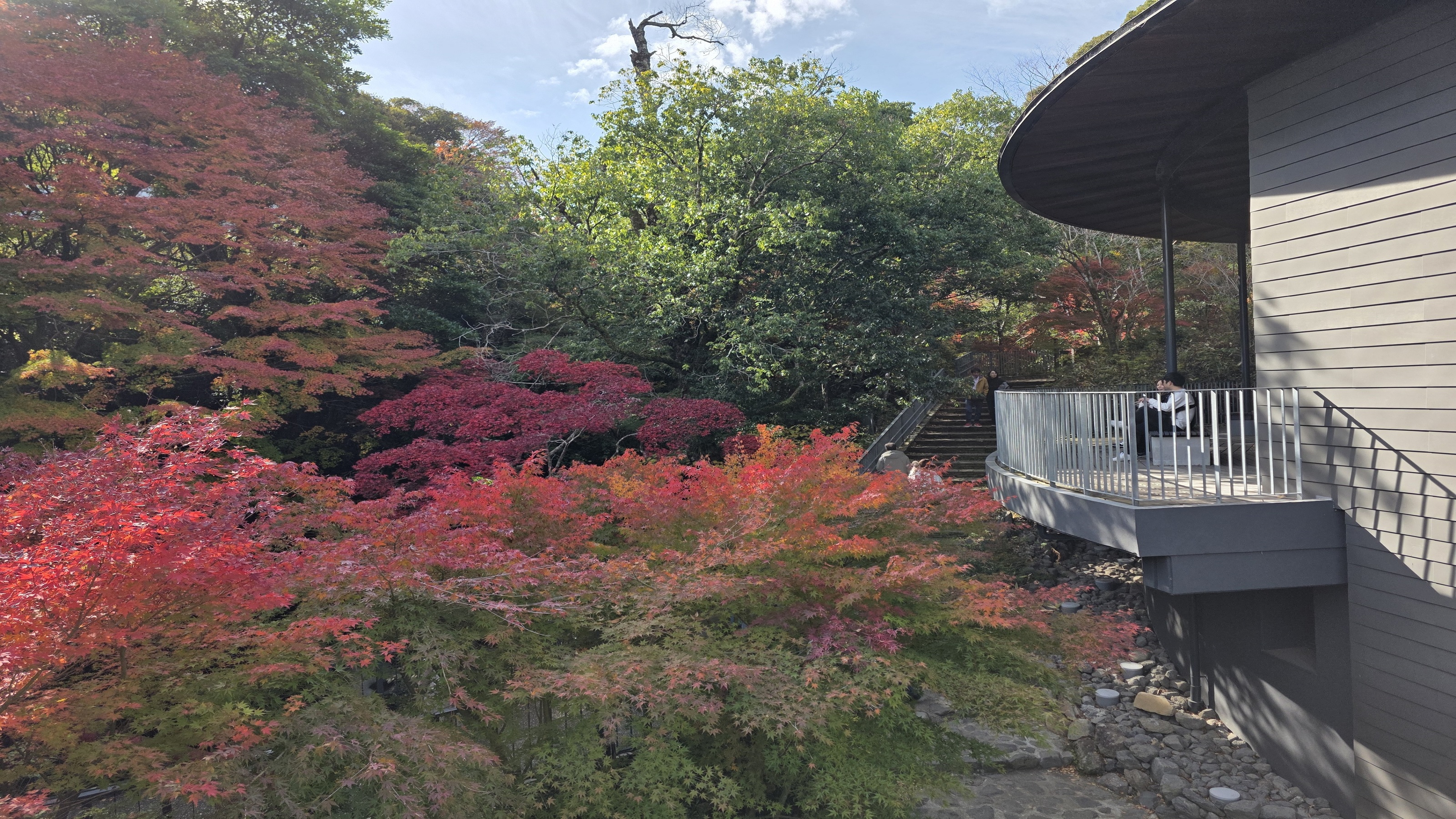 万葉公園の紅葉