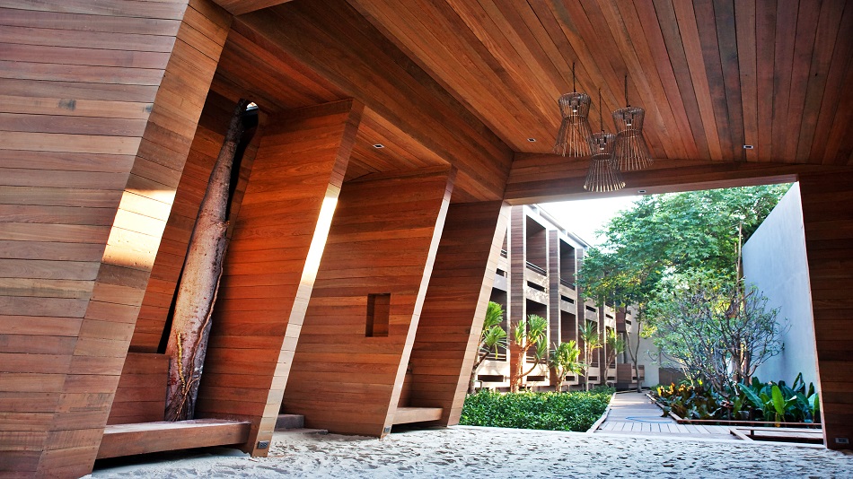 【超特大親株】P. saikeau サイケオ サイケオ ビーチ リゾート(SAI KAEW BEACH RESORT) 宿泊予約