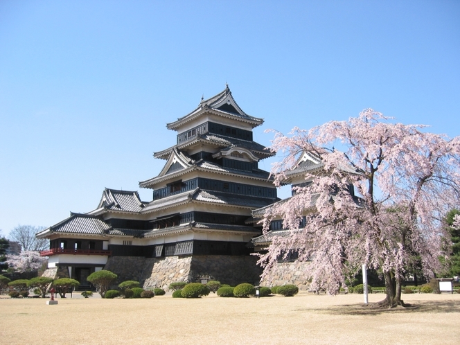 ■松本城(桜)