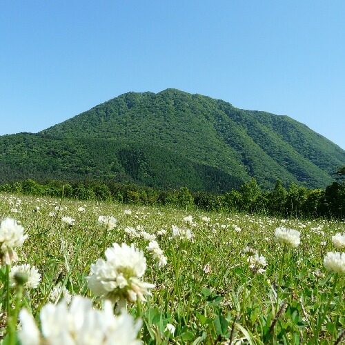 ドラマチックな自然体験に出逢える高原ホテル 三瓶温泉 さひめ野 - 写真 142