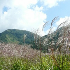 秋の三瓶山