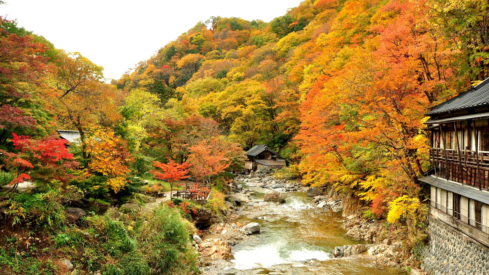 紅葉　秋の宝川（吊り橋から）