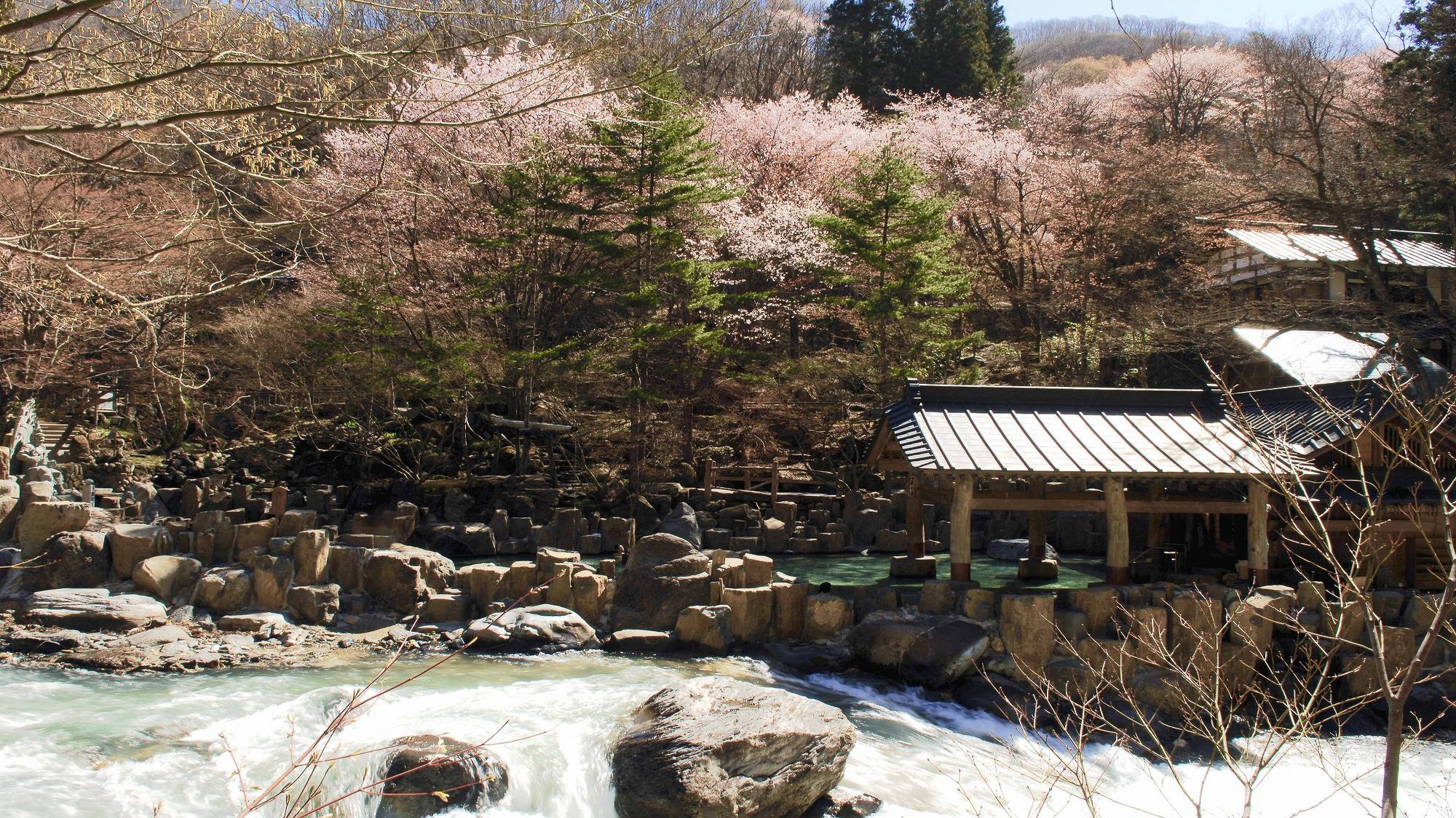 桜咲く春の宝川