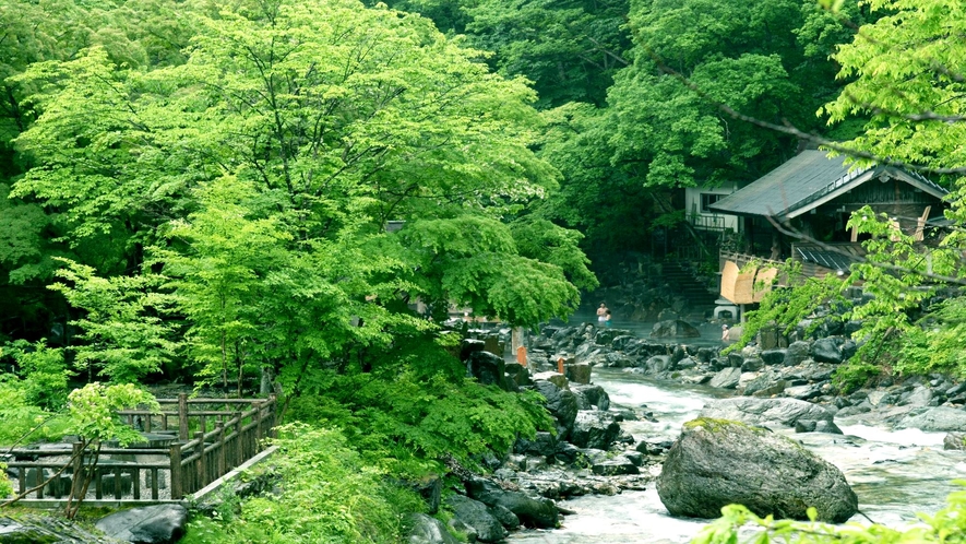 夏の宝川