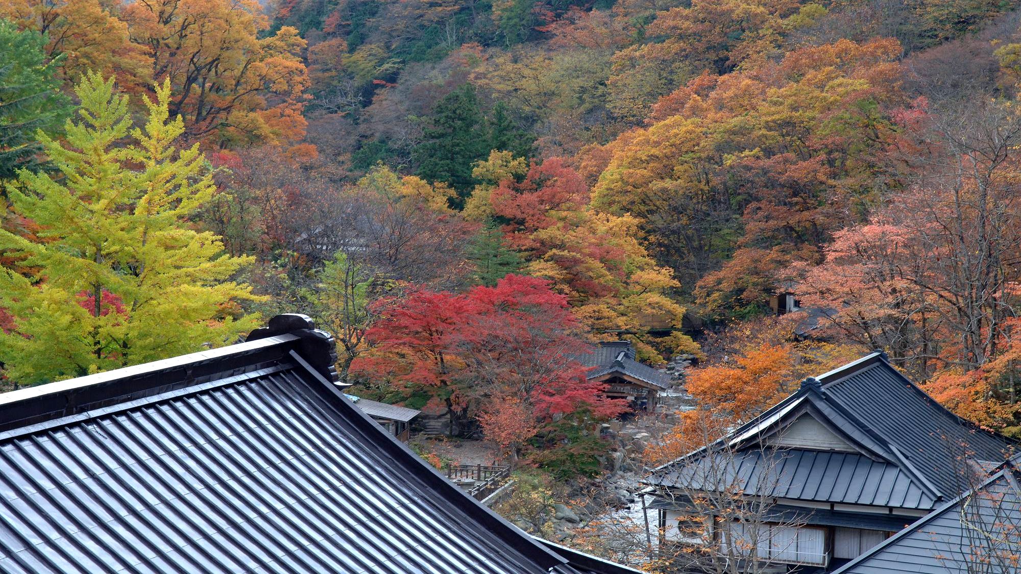 紅葉　秋の宝川