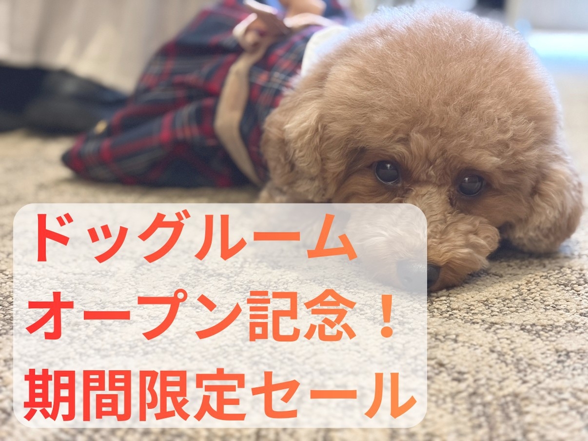 ドッグルームオープン記念セール★おひとり様あたり5000円引き！季節の和食会席コース