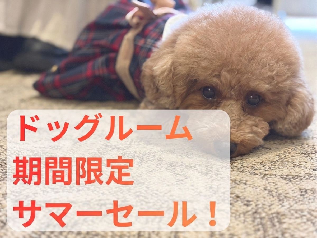 【ペット可】愛犬とステイ　サマーセール★おひとり様5000円引き！素泊まりプラン