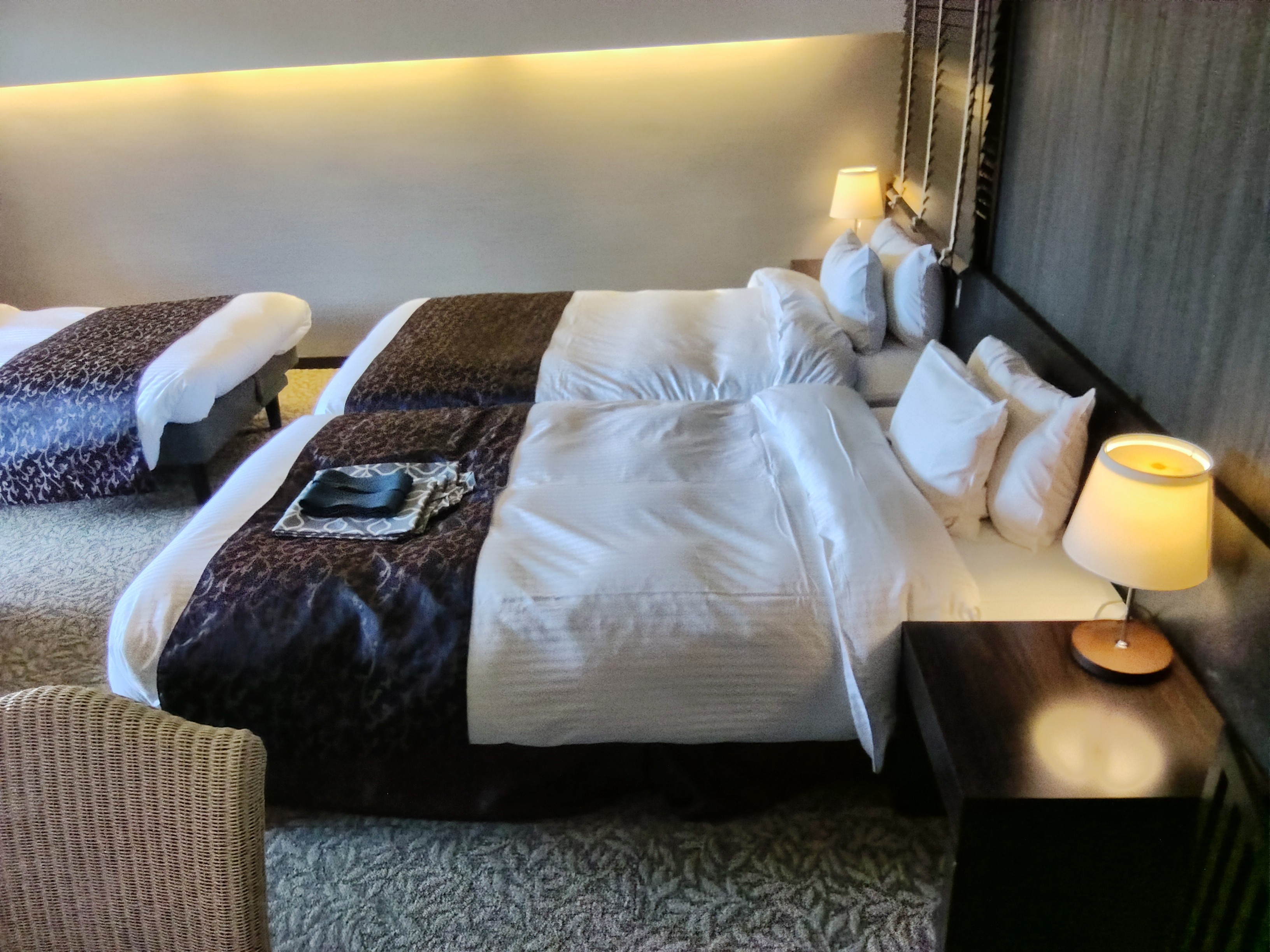 ドッグルーム37㎡