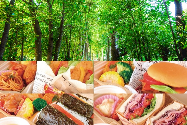 夏プラン７月・８月【エコ連泊　朝食付き】暮らすように過ごす贅沢コテージ！海辺の散歩♪