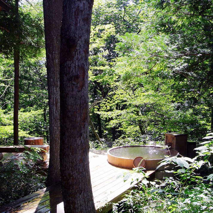 A detached room with an open-air bath, "Blue Moon"