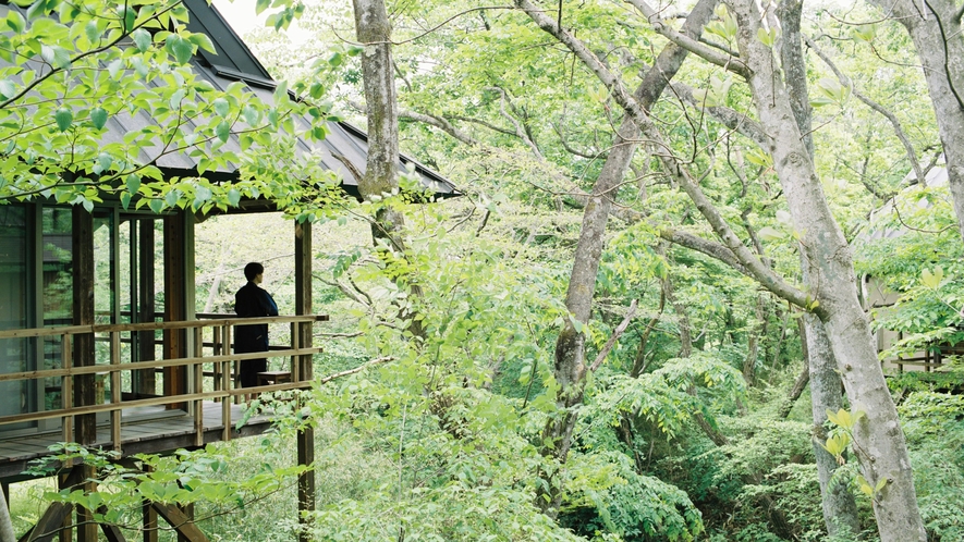 温泉山荘だいこんの花