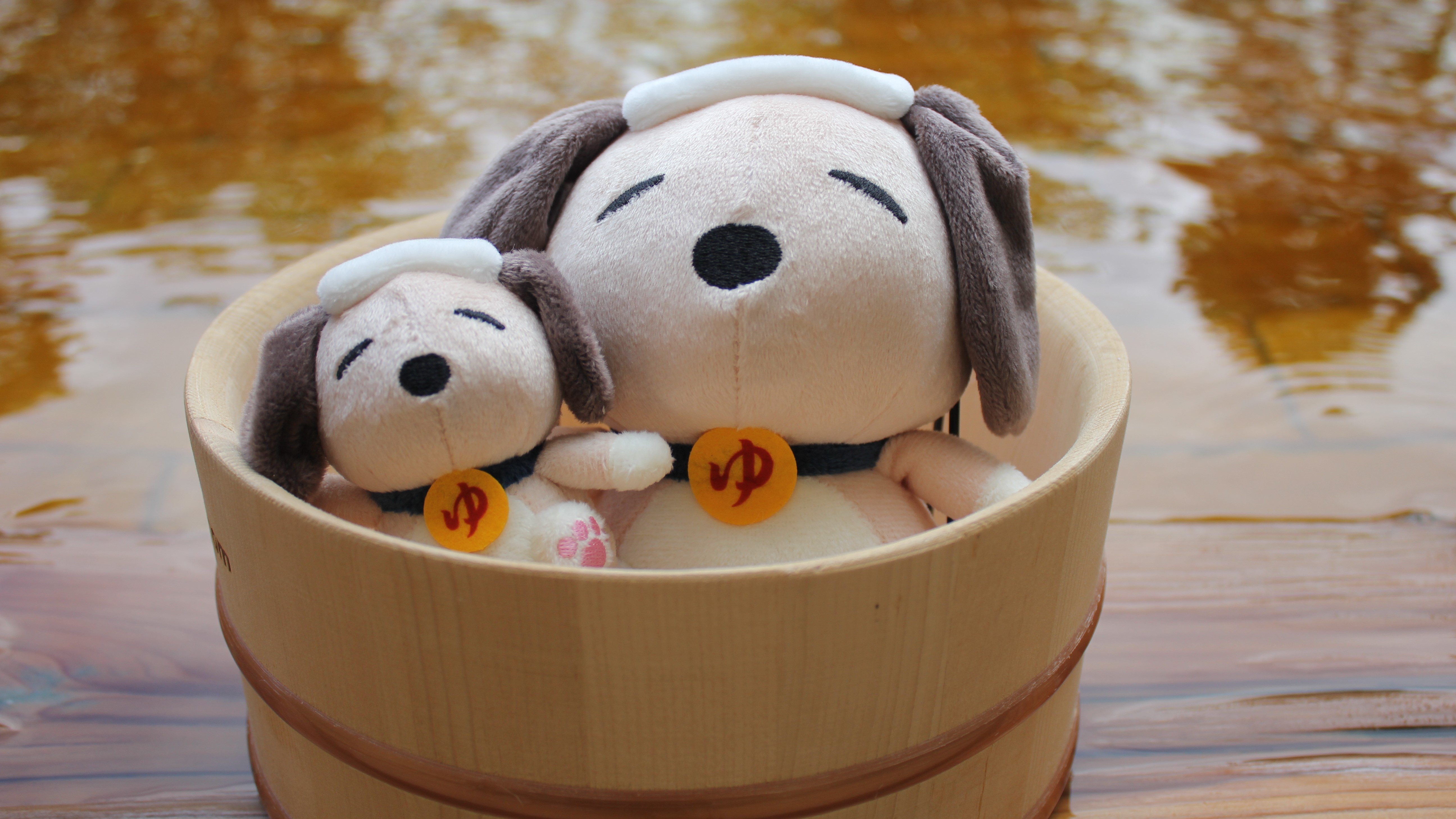 【ユーラシわんグッズ】