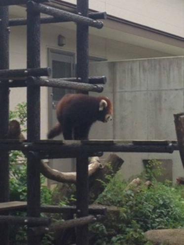 千葉市動物公園