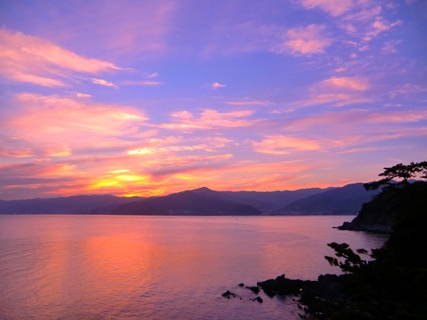 写真7