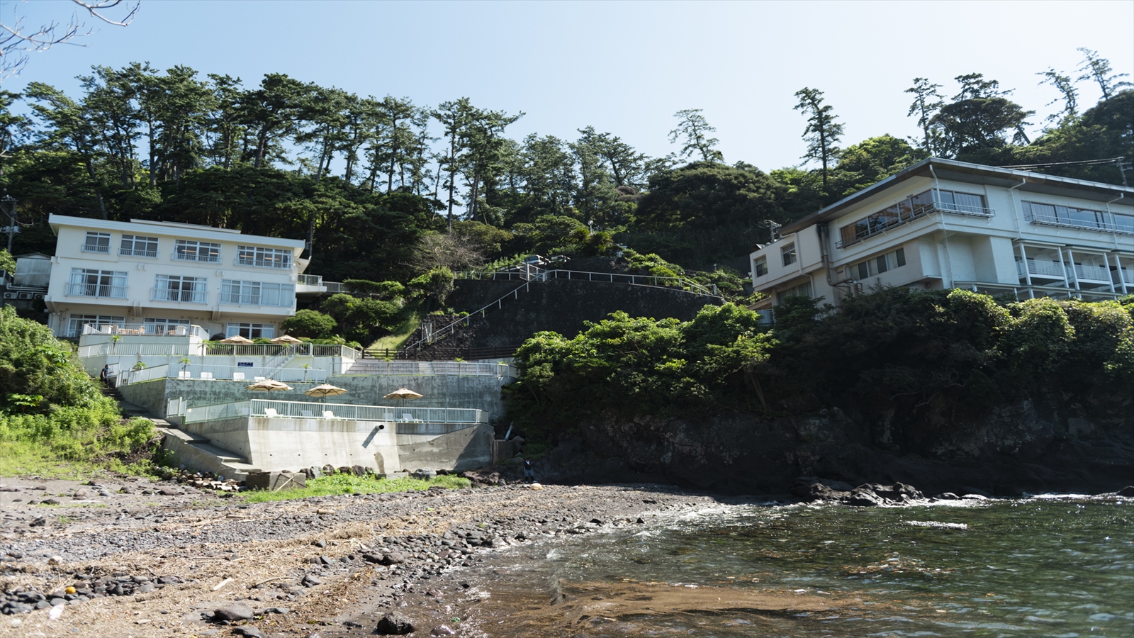 海岸からの景色