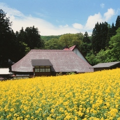 野沢菜発祥の地「健命寺」