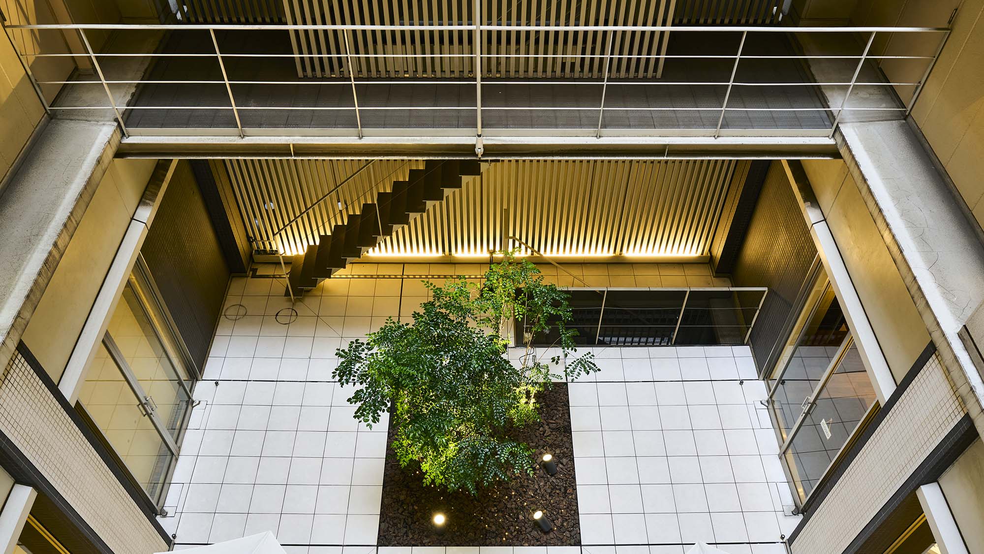 EVホール上からのパティオ