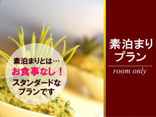 【巡るたび、出会う旅。東北】【素泊まり】シンプルステイプラン◆朝食なし