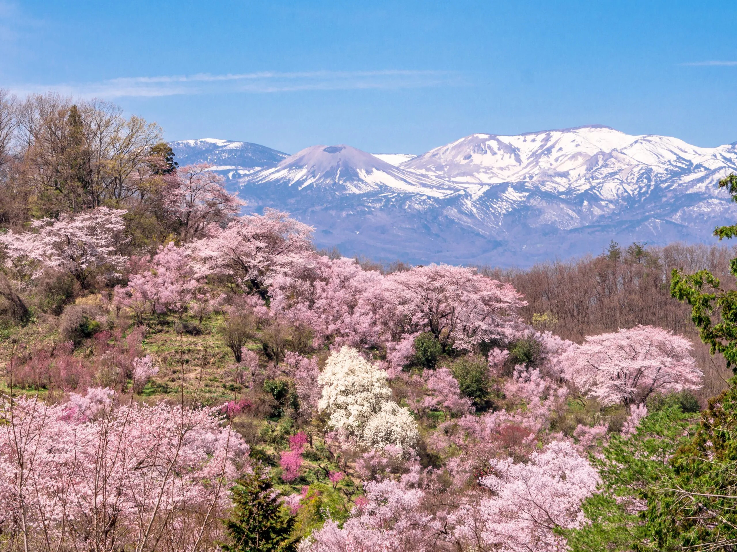 リッチモンドホテル福島駅前 - 写真 112