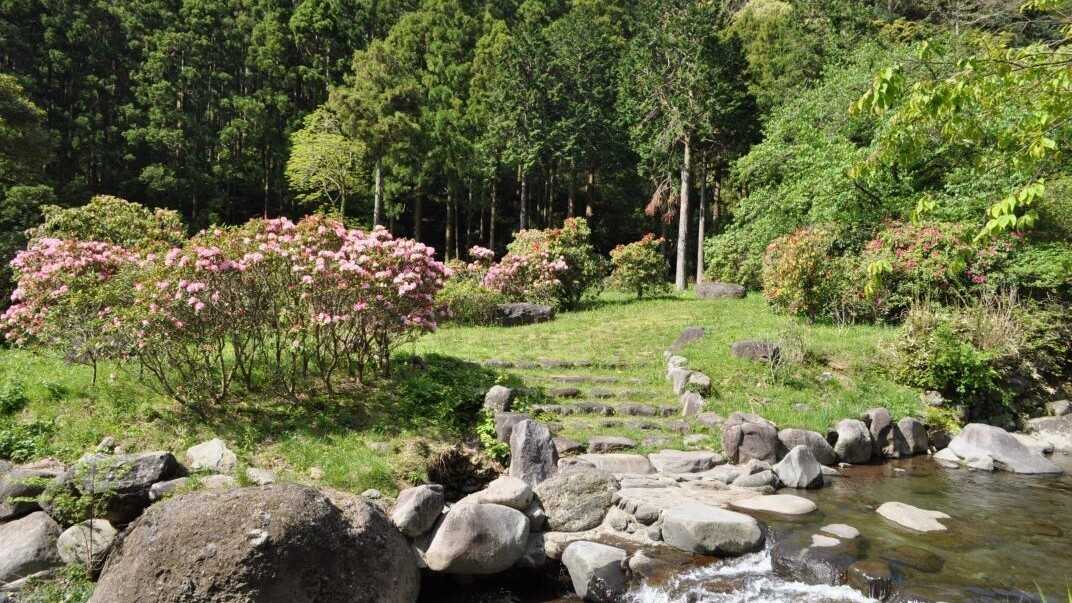 幕山公園（湯河原梅林）