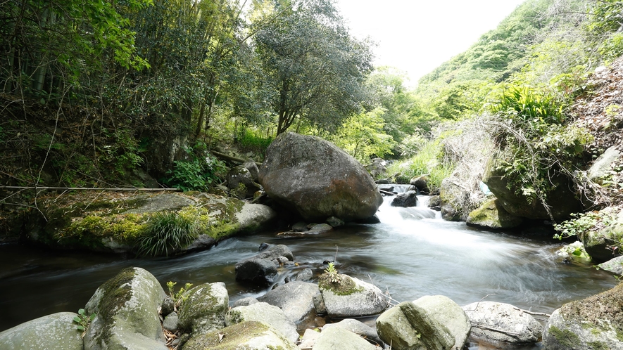 千歳川のせせらぎ