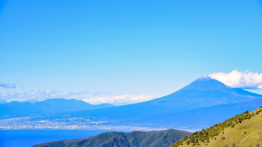 達磨山から駿河湾＆富士山