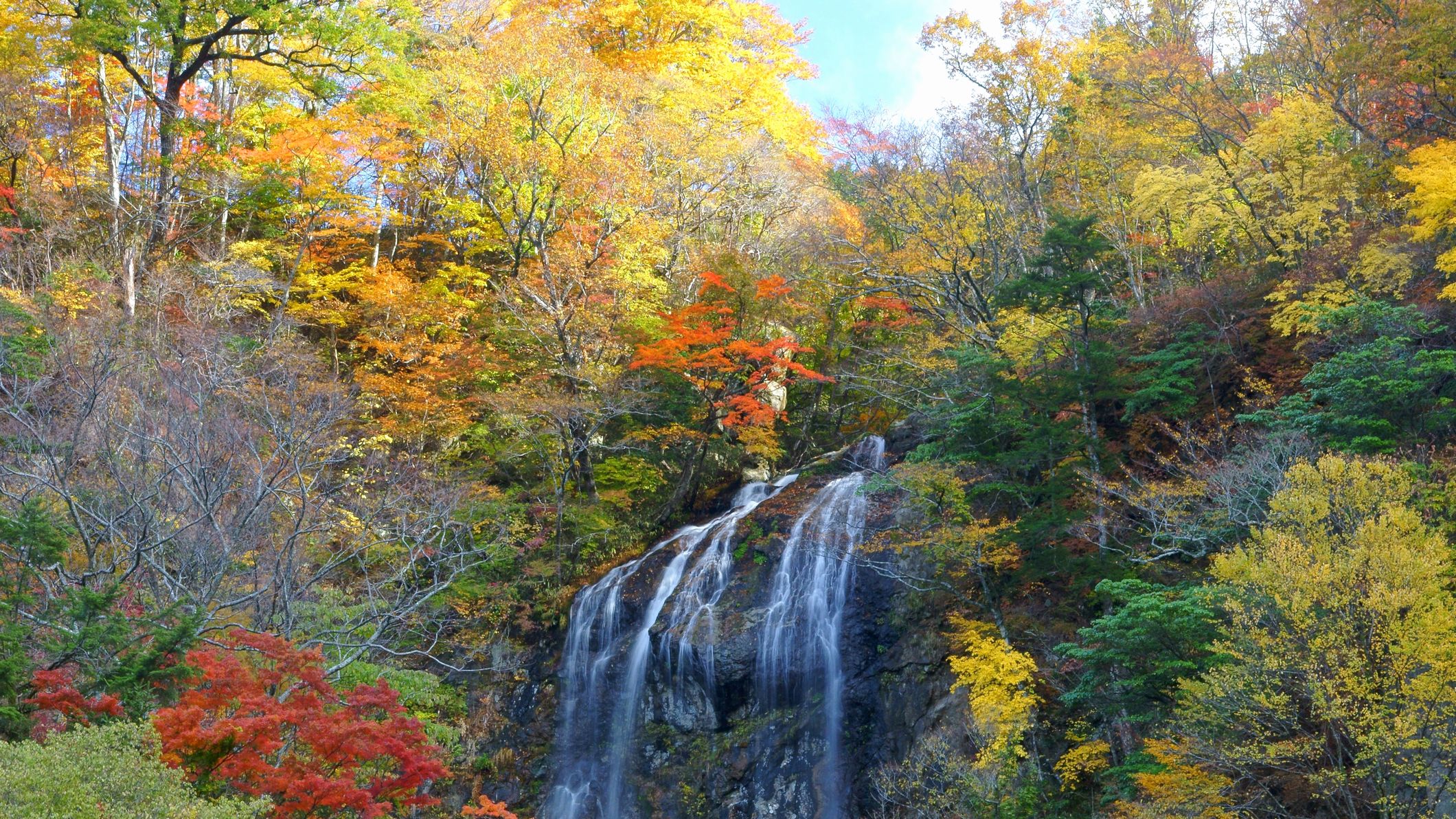 高千穂町周辺には、紅葉と滝の名所が点在しております！（写真は五ヶ瀬町の白滝）