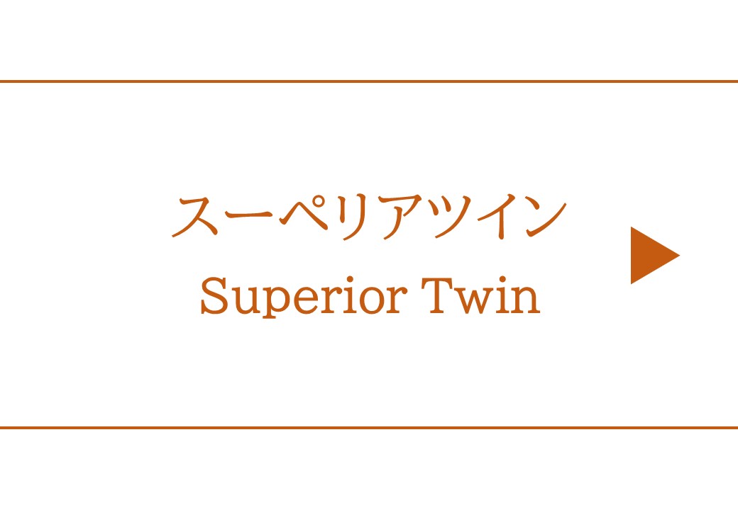 スーペリアツイン（18平米/ベッド幅110cm）