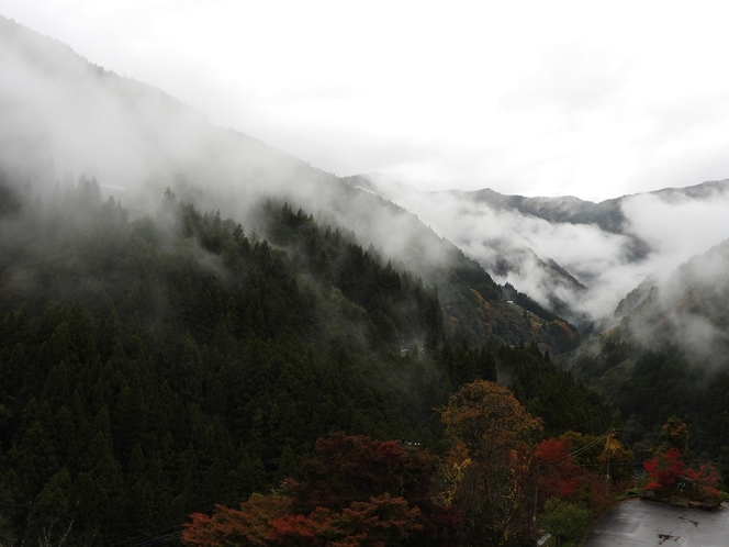 雨の日、幻想的な霧景色の空間に包まれます