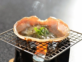◆【日帰り昼食】活け松葉蟹２匹使用　カニフルコース（食事会場）