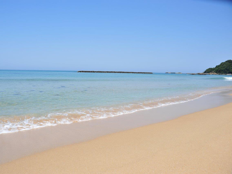 【楽天月末セール】水平線に夕日の沈むビーチで夏を満喫　「豪華舟盛付き海鮮会席」　全室オーシャンビュー