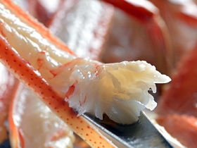 ◆【日帰り昼食】活け松葉蟹２匹使用　カニフルコース（食事会場）