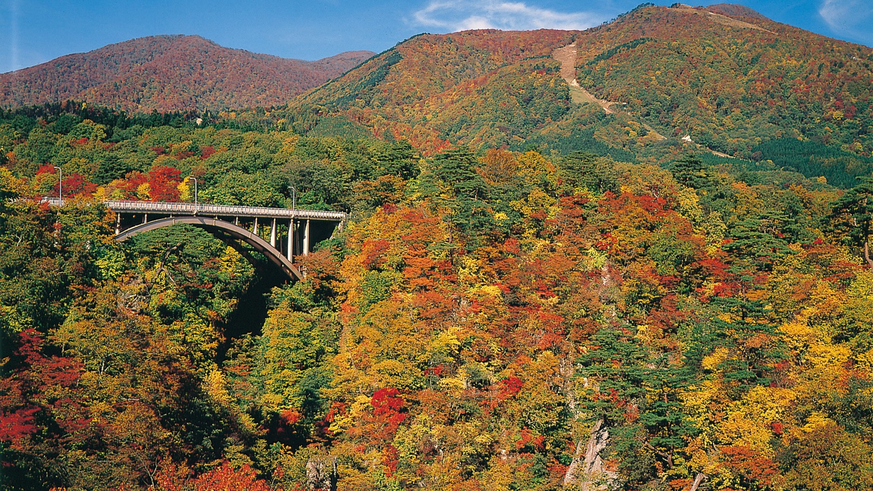 ホテルルートイン古川駅前（ふるかわえきまえ）＜宮城県＞ - 写真 117