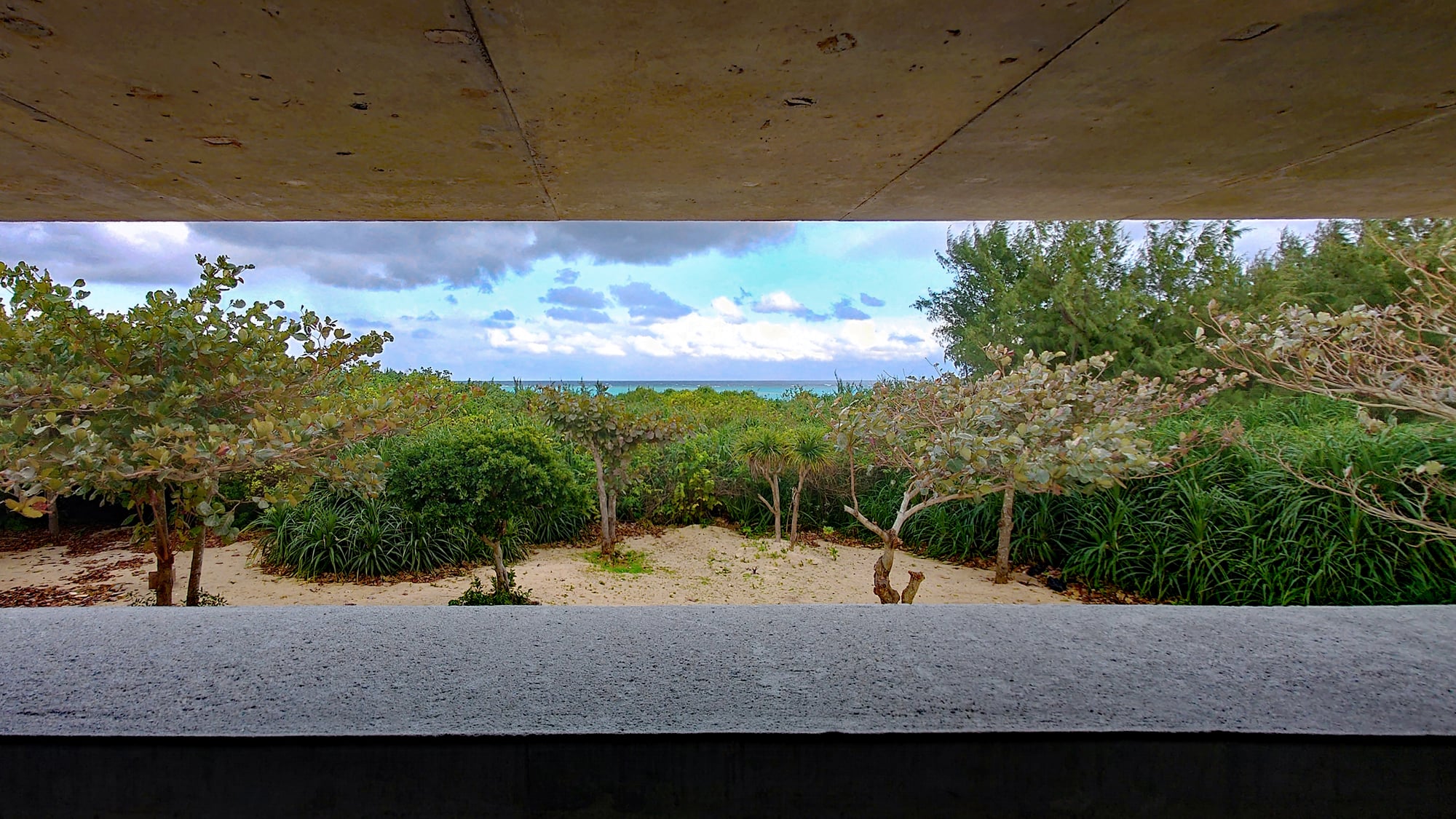 【観光スポット「Muuru（ムール）」】カフェの2階は見晴らしの良い場所です