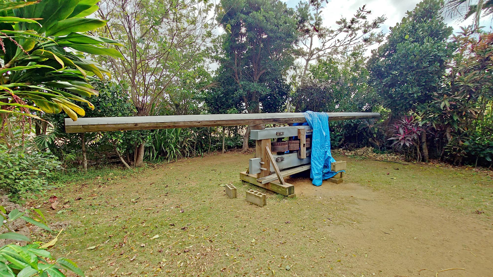 【与論民俗村】サトウキビ圧搾機を使って村で作業で絞っていました