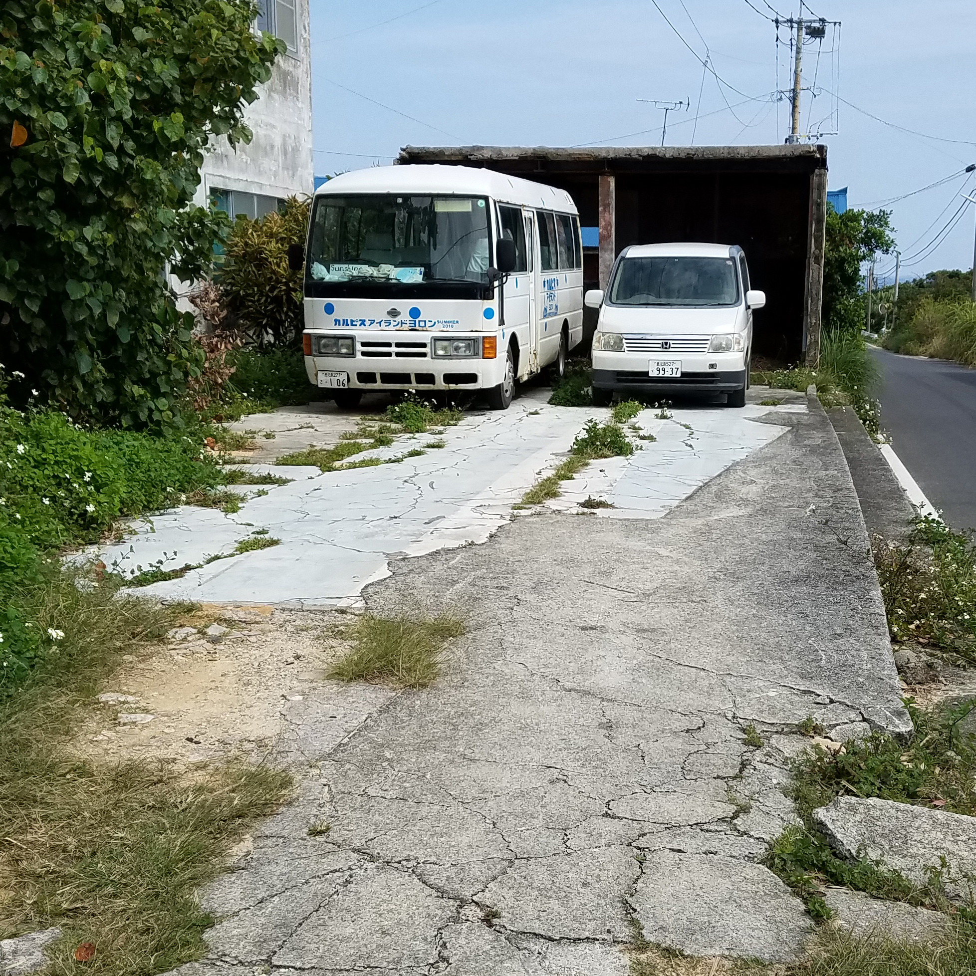 駐車場(2～3台)