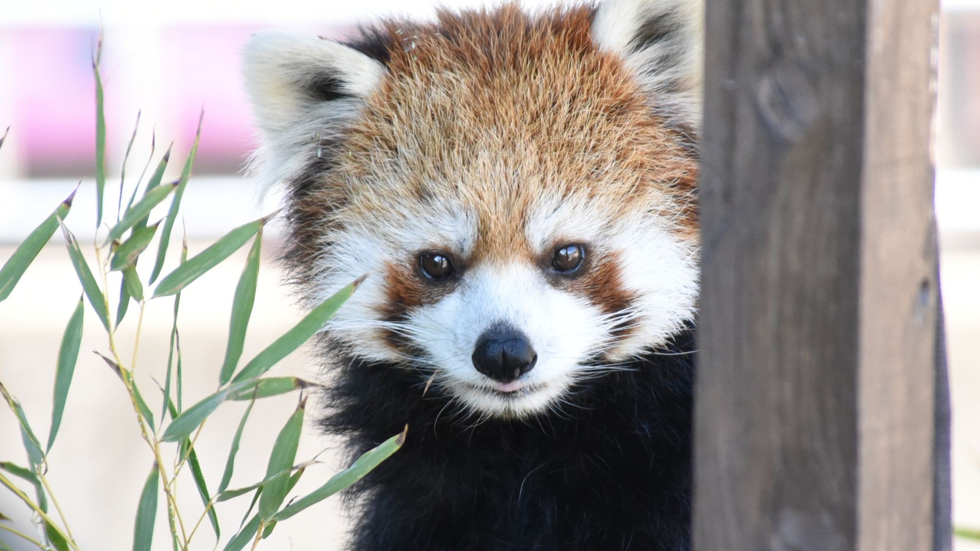 九十九島動植物園 森きらら　当館からお車で約10分