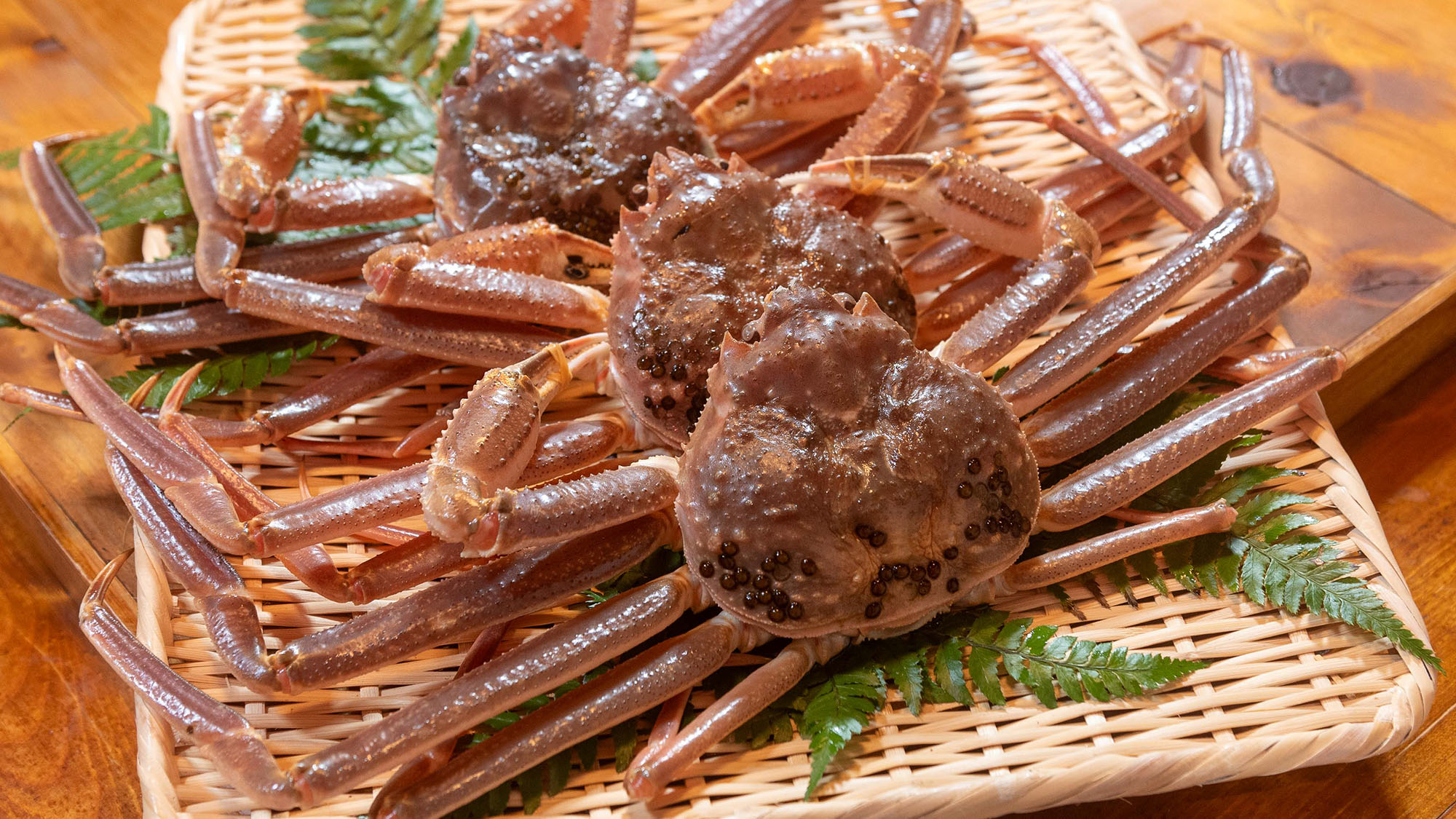 山陰海岸で水揚げされる本場松葉がに一例