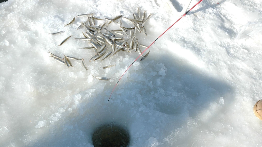 ◆わかさぎ釣り／結氷した網走湖に穴をあけてわかさぎを釣ります。網走ならではのアクティビティ体験！