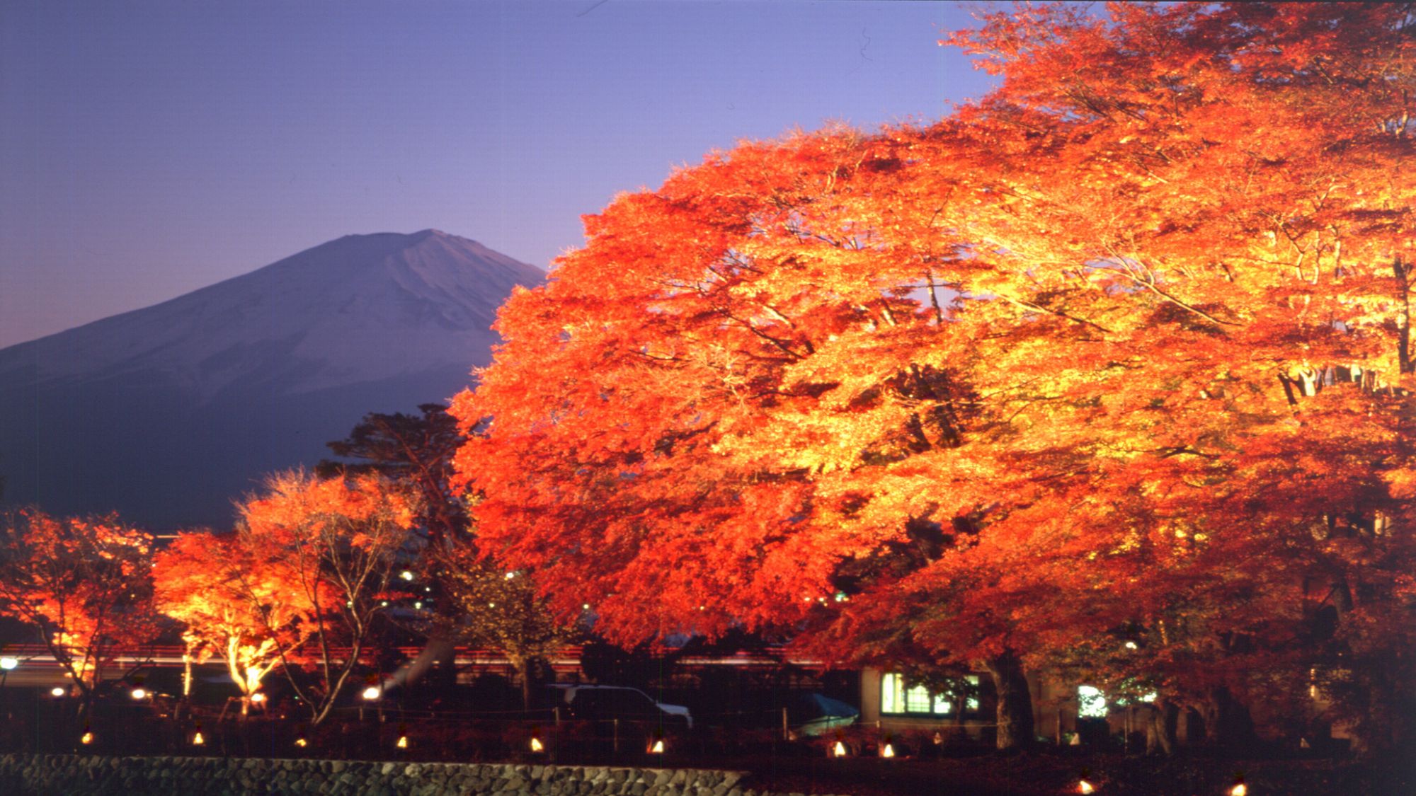 ■河口湖（紅葉）＜秋＞（写真提供：富士河口湖　観光課）
