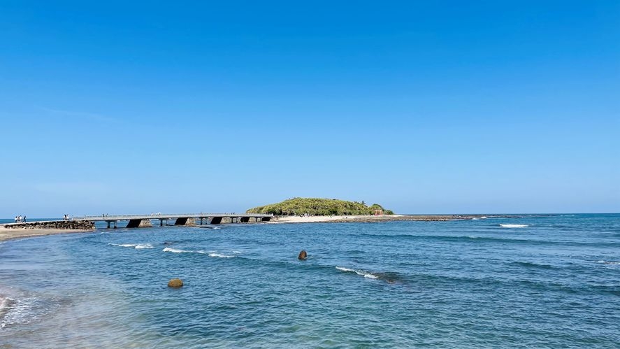 【期間限定】青島近海獲れ伊勢えび秋の味覚満足プラン♪