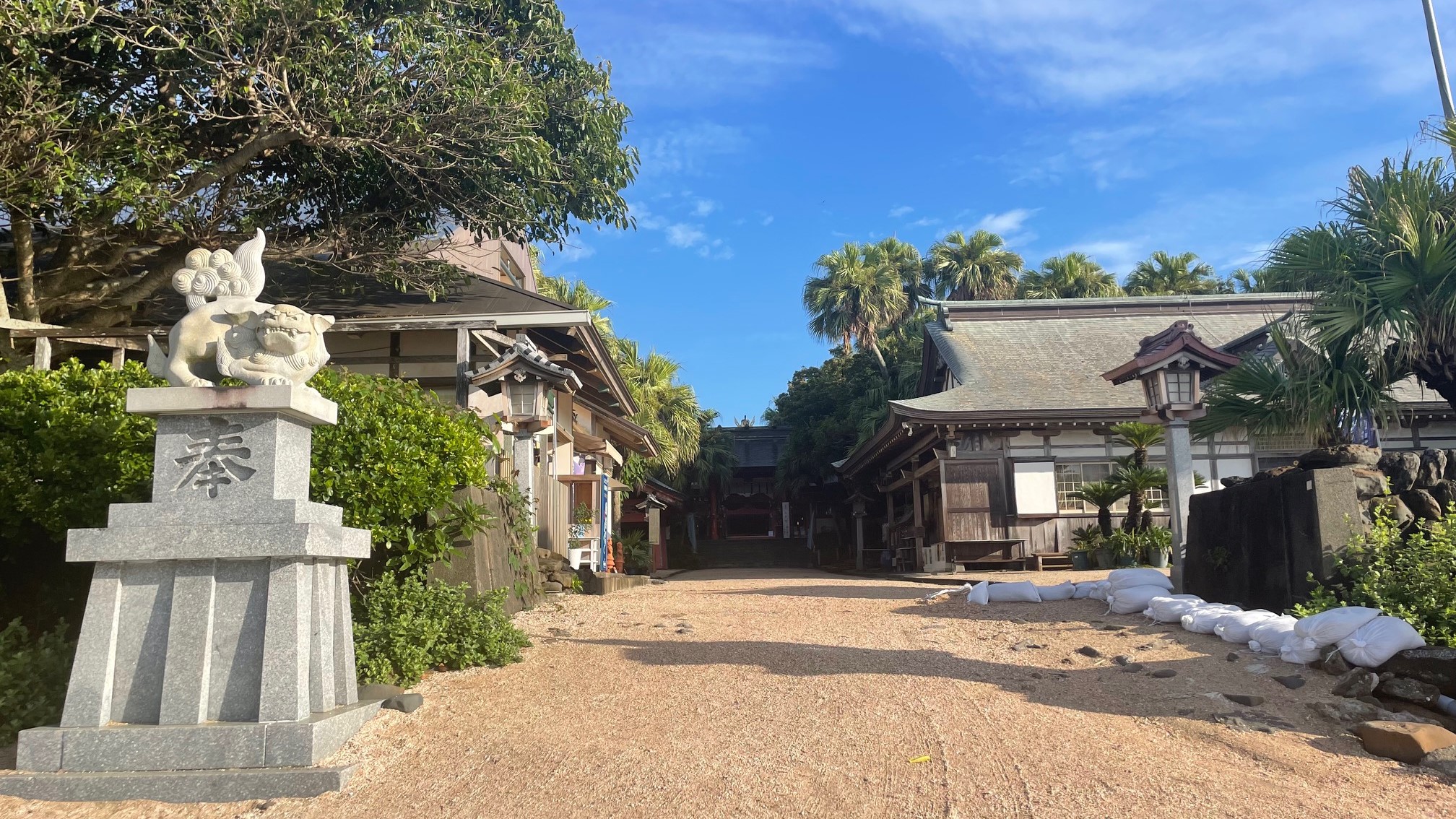 青島神社