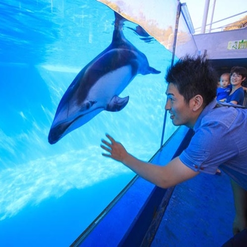 下田海中水族館