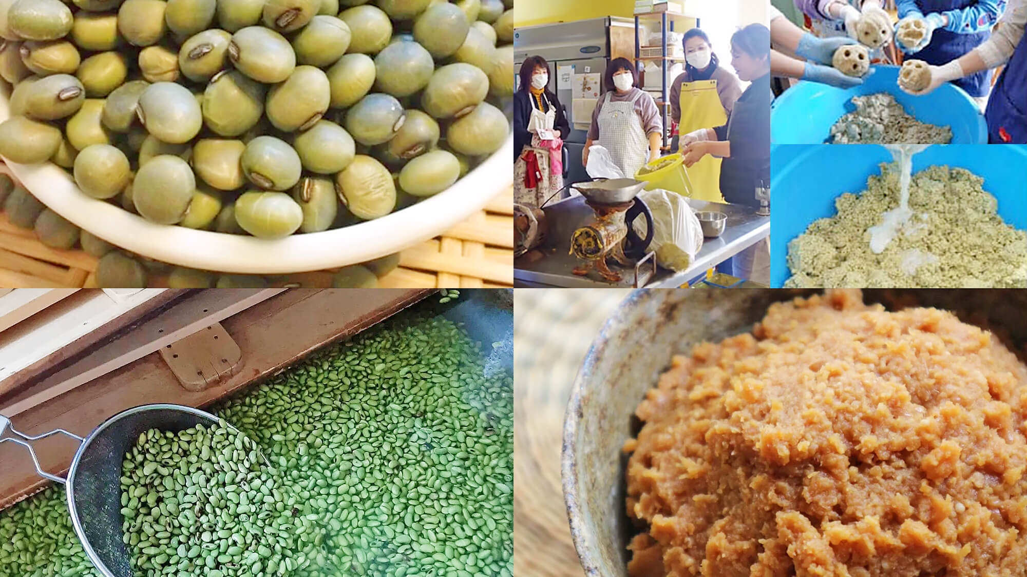 【みそ作り体験】希少な富士山麓の青大豆を使った味噌仕込み体験付き宿泊プラン★作った味噌はお土産に最適