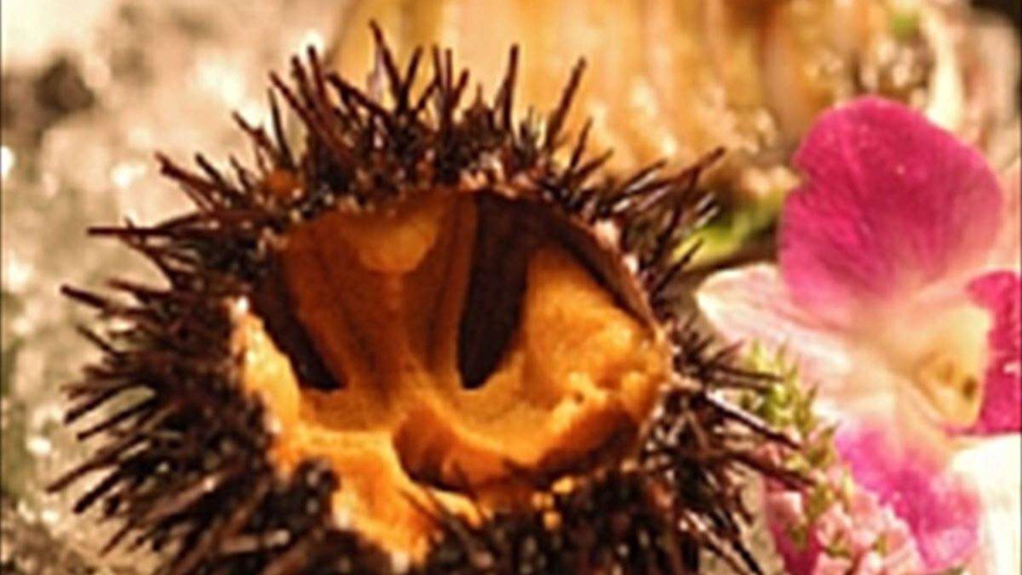 【最大10％引】一番人気★選べる3品×部屋食！一部浴場工事につき豪華夕食はそのまま謝恩プライス