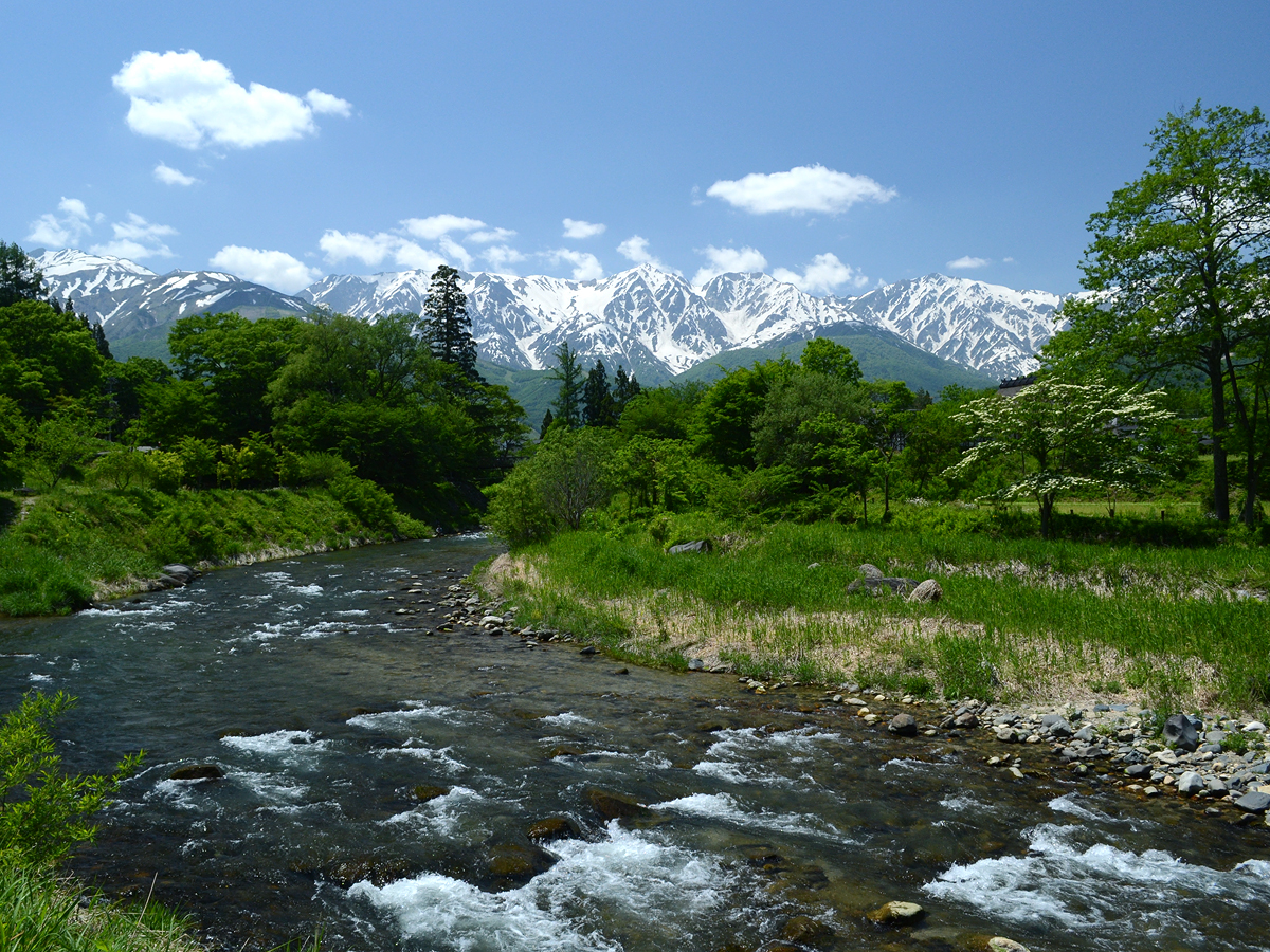 大出のつり橋