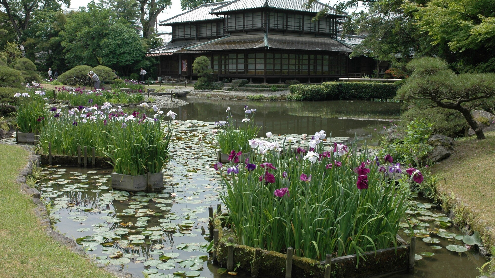 国名勝　松浜軒（しょうひんけん）